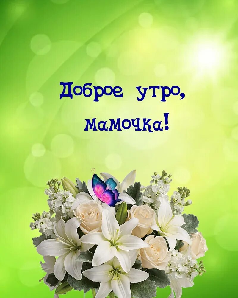 Картинки доброе утро мамочка красивые необычные нежные Картинка: Доброе утро, мамочка!