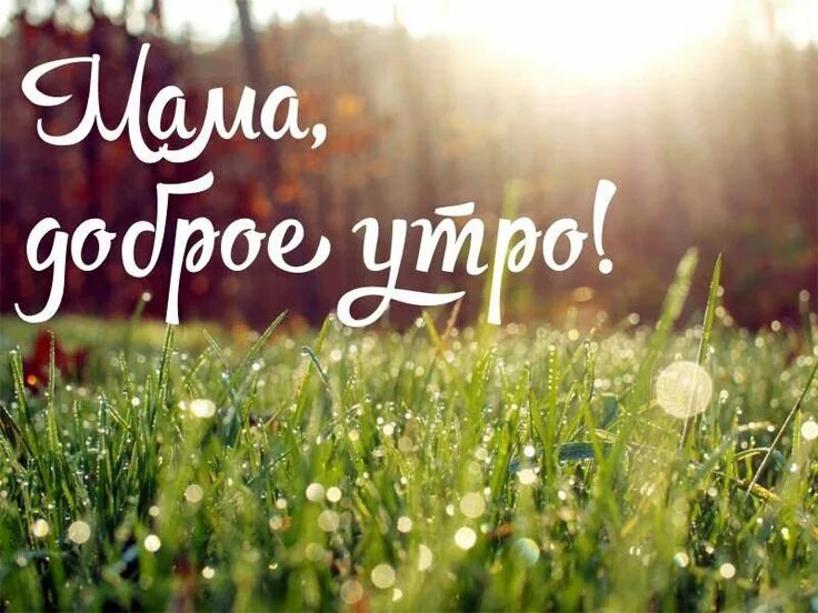 Картинки доброе утро мамочка красивые необычные нежные Пин от пользователя Селена Сальваторе на доске Доброе утро Вдохновляющие фразы, 