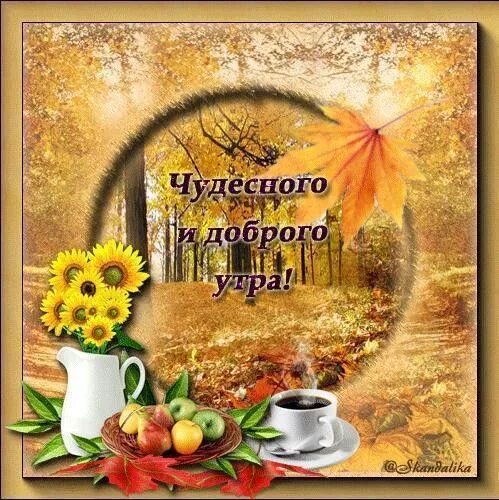 Картинки доброе утро мерцающие осенние с пожеланиями Пин от пользователя Nemisida на доске Осень Доброе утро, Спокойной ночи, Открытк