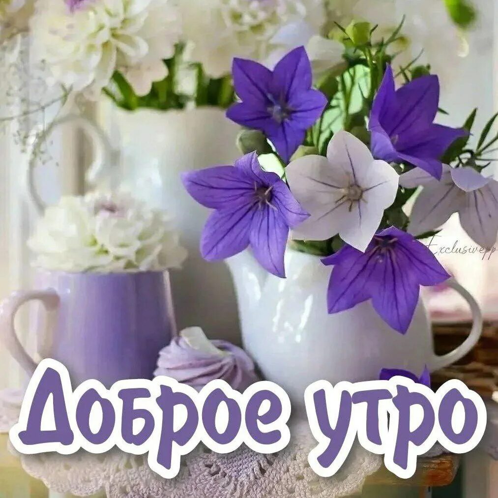 Картинки доброе утро очень красивые и позитивные Публикация #5667 - ПОЗДРАВЛЯШКИН! Картинки и пожелания доброго утра хорошего дня