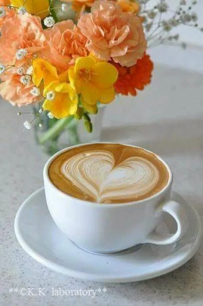 Картинки доброе утро очень красивые и позитивные Pin by Яница Иванова on dream's Coffee breakfast, Coffee flower, Good morning co