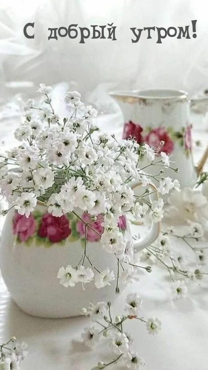 Картинки доброе утро очень красивые новинки Pin by Svetlana on Good morning! Good morning greeting cards, Good morning cards