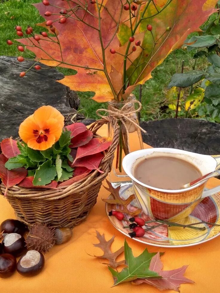 Картинки доброе утро октябрьские красивые и позитивные Pin on Podzim Autumn coffee, Good morning coffee, Autumn tea