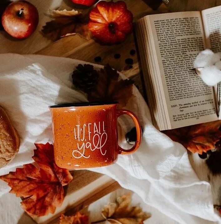 Картинки доброе утро октябрьские красивые и позитивные Fashion Goose Boutique on Instagram: "#October is here y’all! Best time of the y