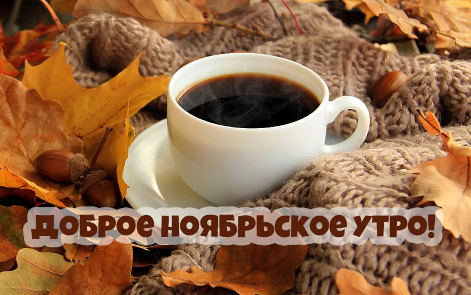 Картинки доброе утро октября 2024 С добрым ноябрьским утром!
