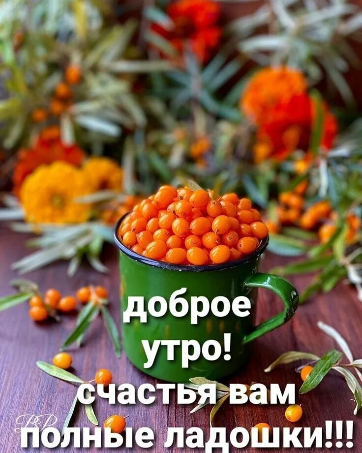 Картинки доброе утро октября 2024 Пин от пользователя Роза Шагдонова на доске Утро Доброе утро, Еда кафе, Цитаты д