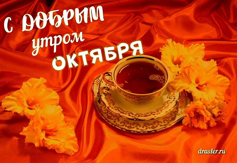 Картинки доброе утро октября 2024 Картинка утро октября - 46 шт