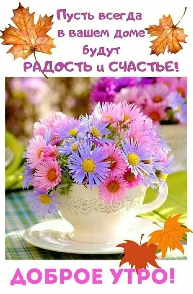 Картинки доброе утро октября 2024 Pin auf Доброе утро Guten morgen bilder sprüche, Guten morgen bilder, Guten morg