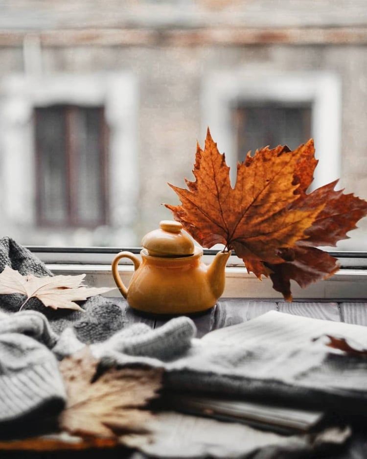 Картинки доброе утро октября красивые новые осенние Image discovered by ❥ Bambi. Find images and videos about cozy, autumn and fall 