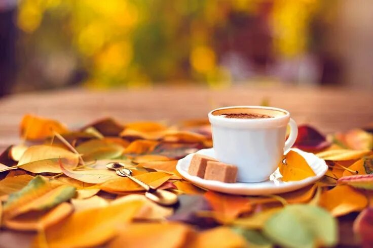 Картинки доброе утро осень сентябрь Autumn coffee Autumn coffee, Fall wallpaper, Coffee flavor