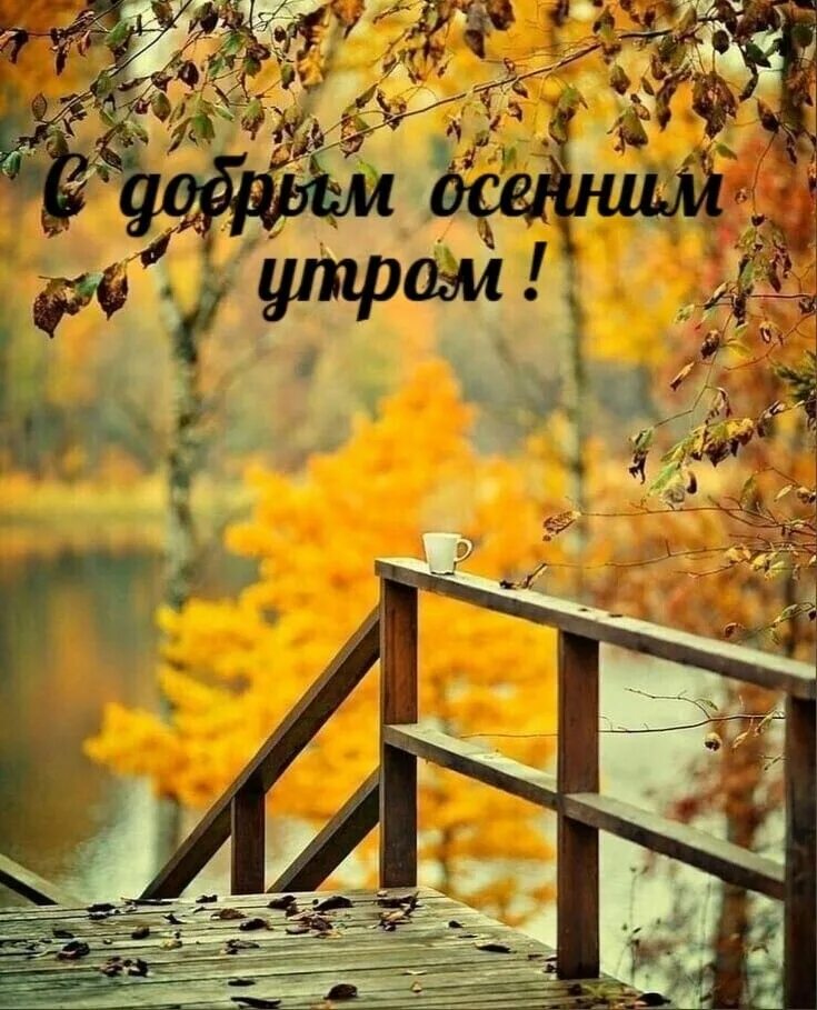 Картинки доброе утро осенние красивые бесплатно природа Пин от пользователя Эмма Близнюк на доске С Добрым утром! Осенние виды, Счастлив