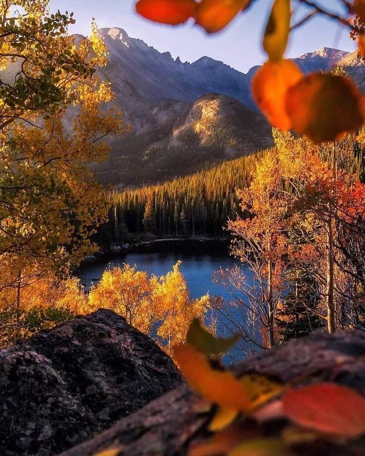 Картинки доброе утро осенние красивые бесплатно природа Pin by Michelle Ilkiw on Autumn Autumn scenery, Nature photography, Scenery