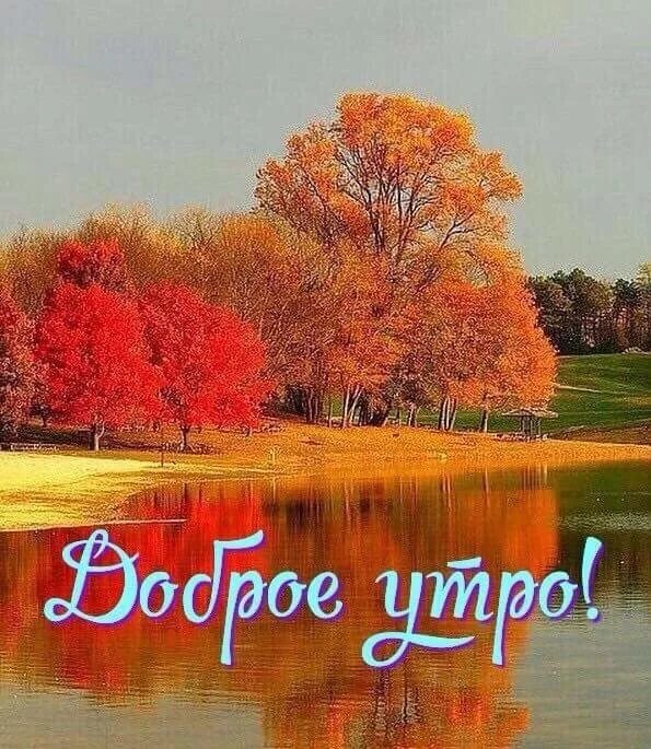 Картинки доброе утро осенние красивые бесплатно природа Осенняя природа (Дианина Диана) / Проза.ру