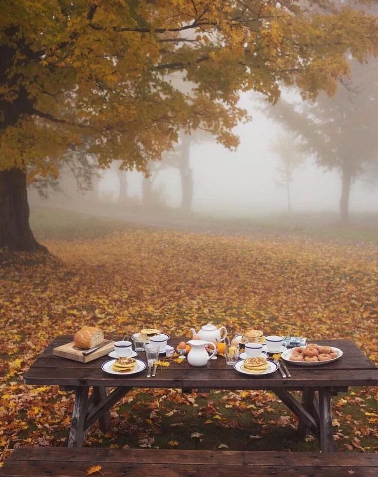 Картинки доброе утро осенние красивые бесплатно природа Whispering Winds: Photo Foggy morning, Autumn inspiration, Fall picnic