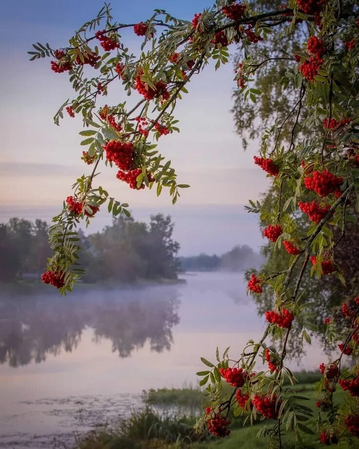 Картинки доброе утро осенние красивые бесплатно природа Pin on Арт: пейзаж (Landscape) Spring landscape photography, Landscape art paint