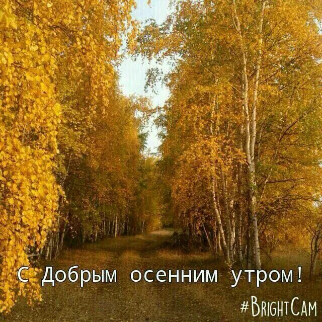 Картинки доброе утро осенние красивые бесплатно природа Pin on С Добрым утром Осень