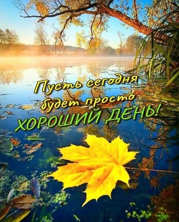 Картинки доброе утро осенние красивые бесплатно природа Пин от пользователя Larissapossuh на доске Добрий ранок Осенние картинки, Пейзаж