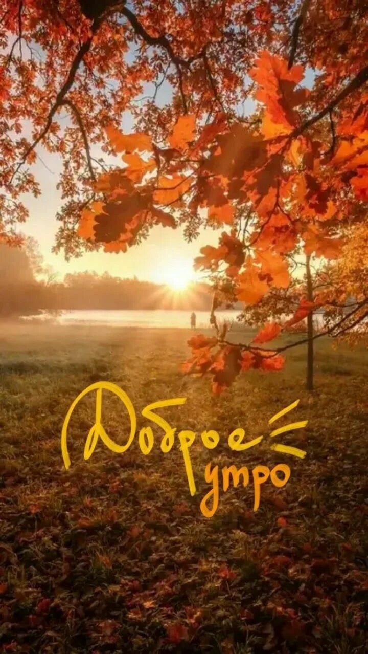 Картинки доброе утро осенние красивые бесплатно природа Доброе утро! in 2022 Good morning cards, Good morning coffee gif, Good day wishe