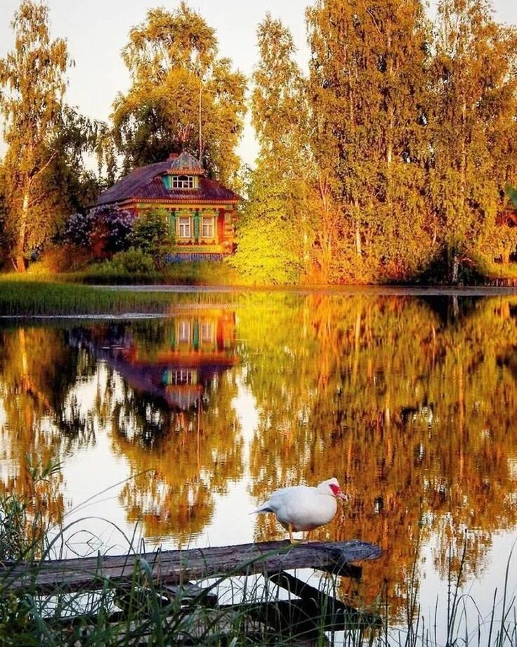 Картинки доброе утро осенние красивые бесплатно природа Фото 897441895642 из альбома Miscellaneous. Разместил aaa bbb в ОК Пейзажи, Осен