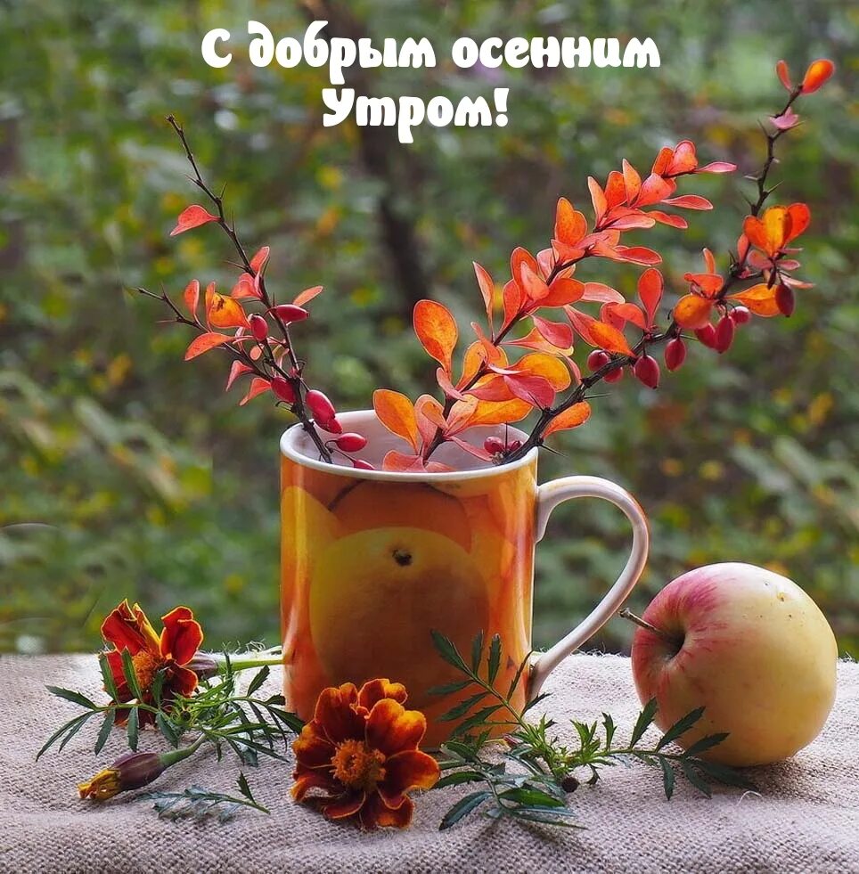 Картинки доброе утро осенние красивые бесплатно природа Добрый осенний день позитив
