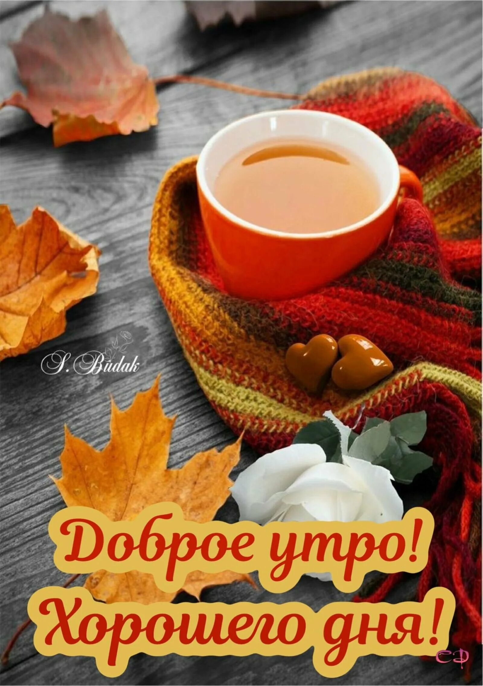 Картинки доброе утро осенние красивые необычные новые Открытки с добрым утром ноября мужчине: найдено 39 изображений