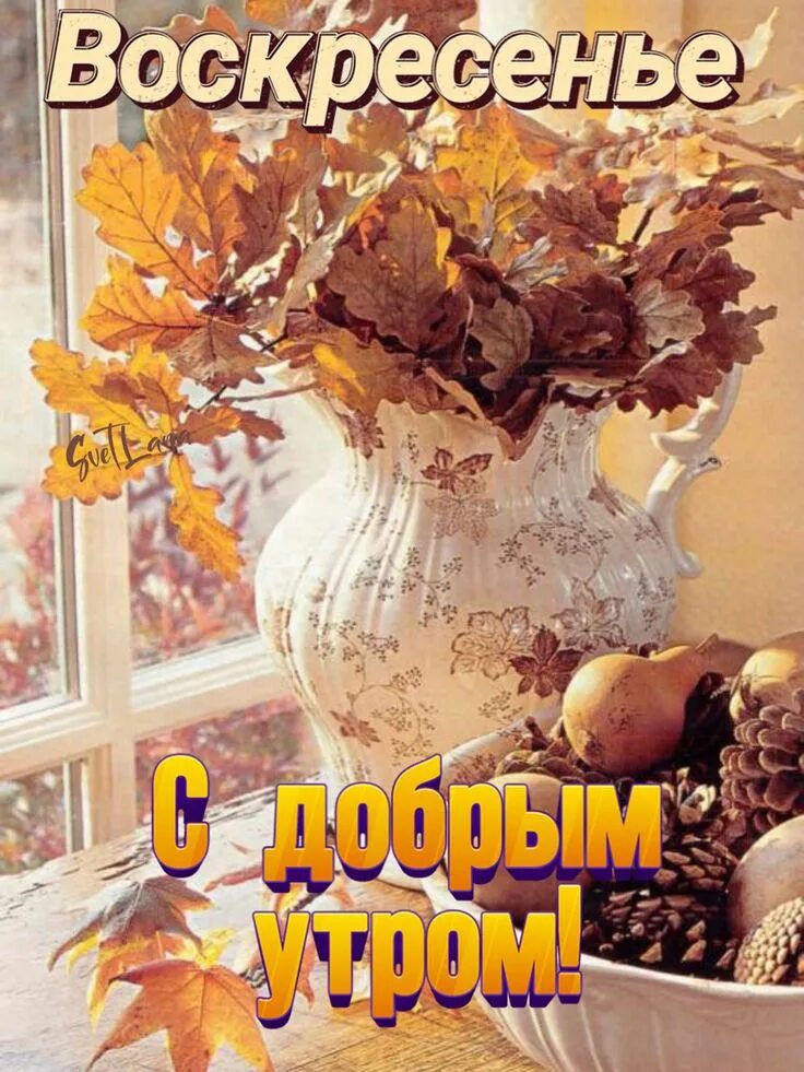 Картинки доброе утро осенние красивые оригинальные Пин от пользователя Djon на доске Доброе утро Доброе утро, Праздничные открытки,