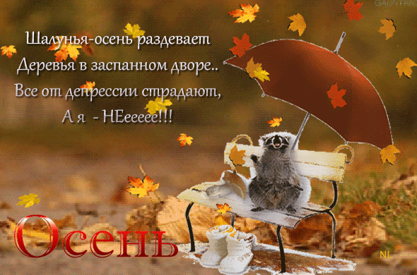 Картинки доброе утро осенние позитивные смешные Шалунья осень... Осенний пейзаж, Пейзажи, Открытки