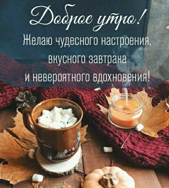 Картинки доброе утро осенние прикольные с пожеланиями Пин на доске Доброе утро и день Доброе утро, Утренние цитаты, Осень
