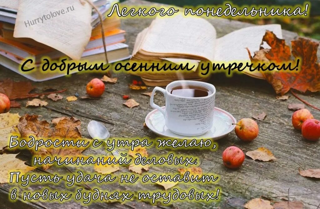 Картинки доброе утро осенние прикольные с пожеланиями Картинки С ДОБРЫМ УТРОМ ПОНЕДЕЛЬНИКА ОСЕНИ КРАСИВЫЕ