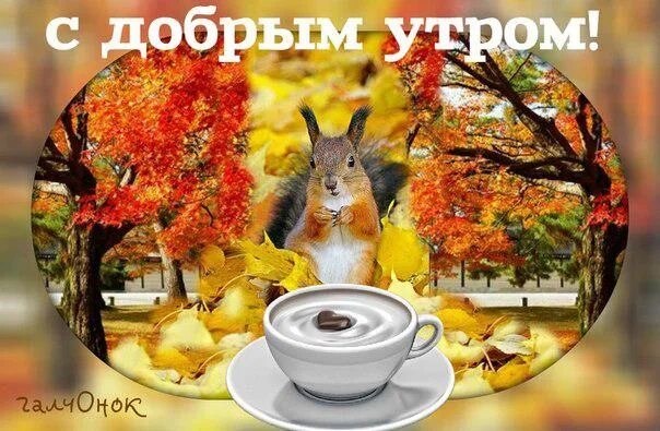 Картинки доброе утро осенние прикольные смешные бесплатно Доброе утро! Посмотрите как прекрасен сегодняшний день, пусть он будет наполнен 