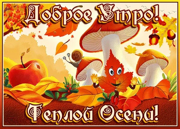 Картинки доброе утро осенние прикольные смешные бесплатно ДОБРОЕ УТРО. ТЕПЛОЙ ОСЕНИ" - карточка пользователя ДОЛЬКА в Яндекс.Коллекциях
