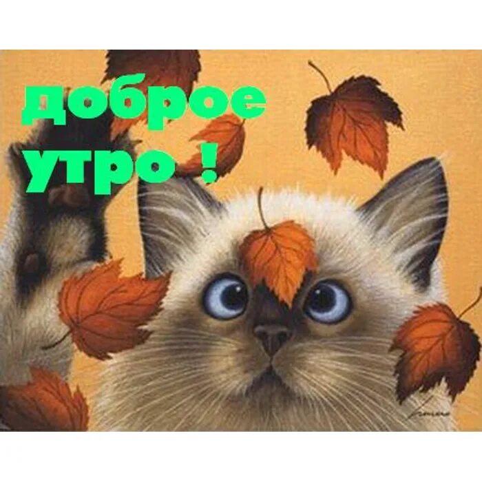 Картинки доброе утро осенние прикольные смешные бесплатно Рады мы зиме как дети, потому что мы в декрете!!! МАРТ 3 триместр - обсуждение н