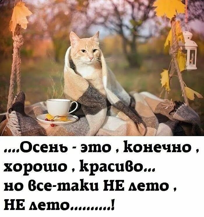 Картинки доброе утро осенние прикольные смешные бесплатно Форум Клуба Рено Дастер / Renault Duster Club - Сплетни - наша жизнь!