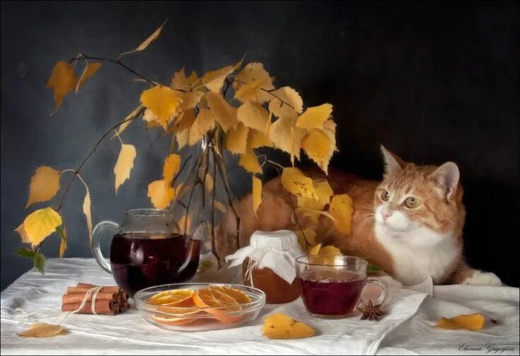 Картинки доброе утро осенние с котиками Pin on Котики2 Cat painting, Cat art, Painting