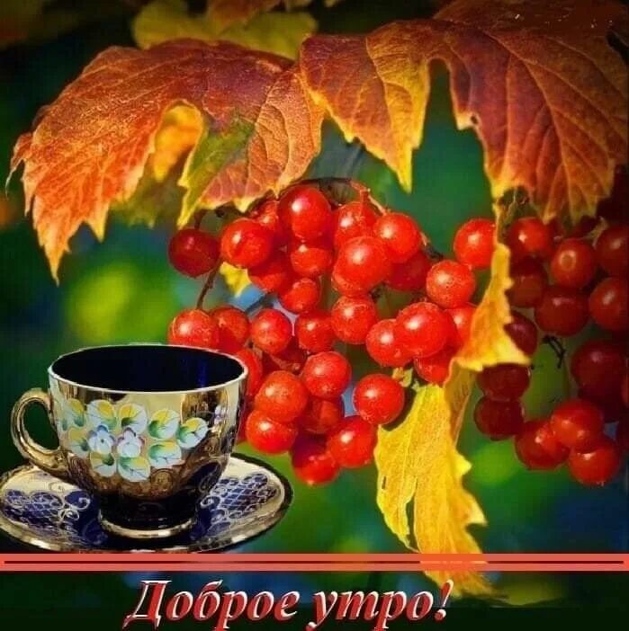 Картинки доброе утро осенние воскресенье красивые новые Комментарии к теме Доброе утро, Осенние картинки, Открытки