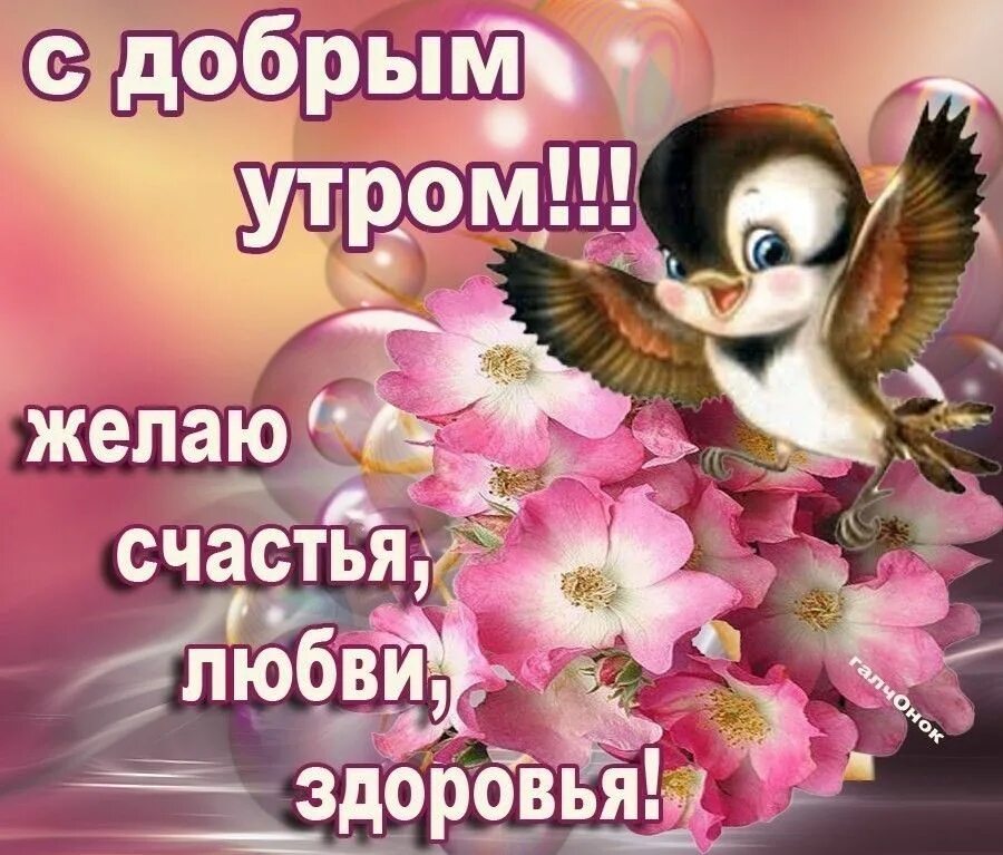 Картинки доброе утро пожелания счастья добра Доброе утро февраля с пожеланиями счастья: найдено 80 изображений