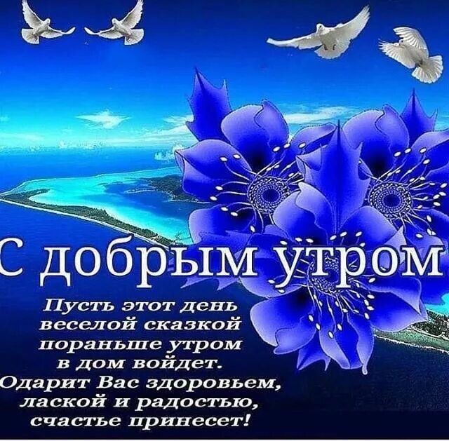Картинки доброе утро пожелания счастья добра Пин на доске Стихотворение Доброе утро, Христианские цитаты, Надписи