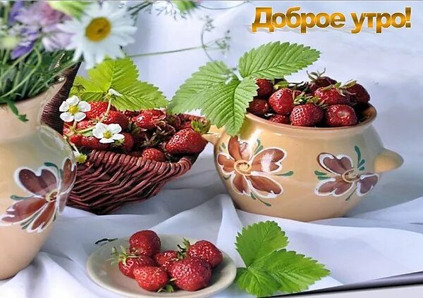 Картинки доброе утро пожеланиями ягодками русские словами Открытки, GIF ЛЕТО доброе утро - 80 фотографий ВКонтакте