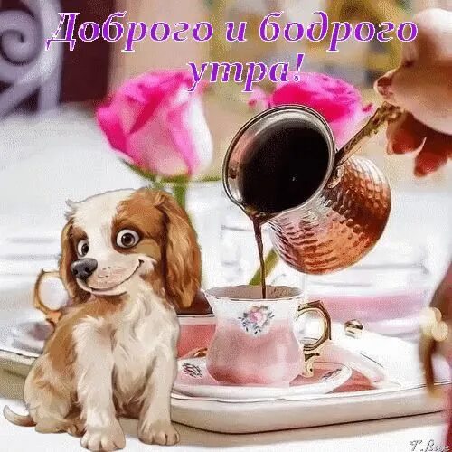 Картинки доброе утро позитивные гифки скачать Good morning it's coffee time