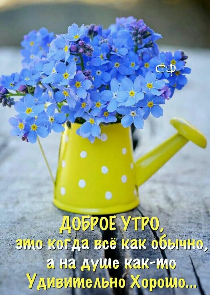 Картинки доброе утро позитивные красочные Пин от пользователя Валентина Бутенко на доске доброе утро Доброе утро, Картинки