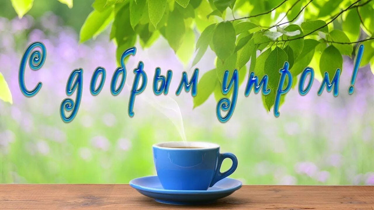 Картинки доброе утро позитивные красочные природа #доброеутро #позитив #настроение С добрым утром, мои друзья! Всем желаю отличног