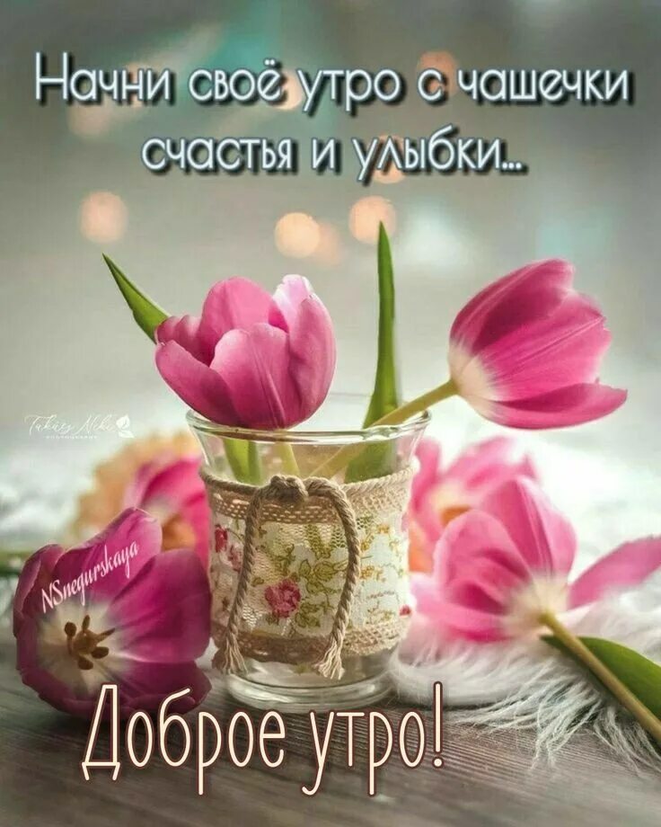 Картинки доброе утро позитивные новые красотка Пожелания с добрым утром Morgen sprüche, Guten morgen