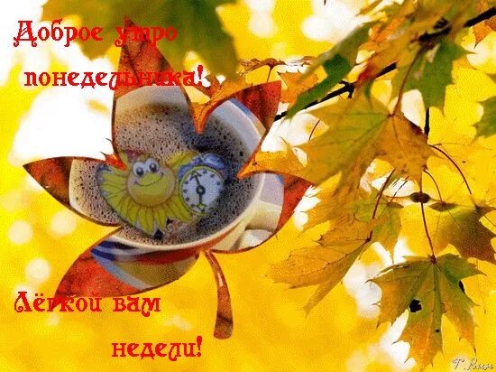 Картинки доброе утро позитивные прикольные новые осенние понедельник доброе утро осень понедельник доброго осеннего понедельника Открытки