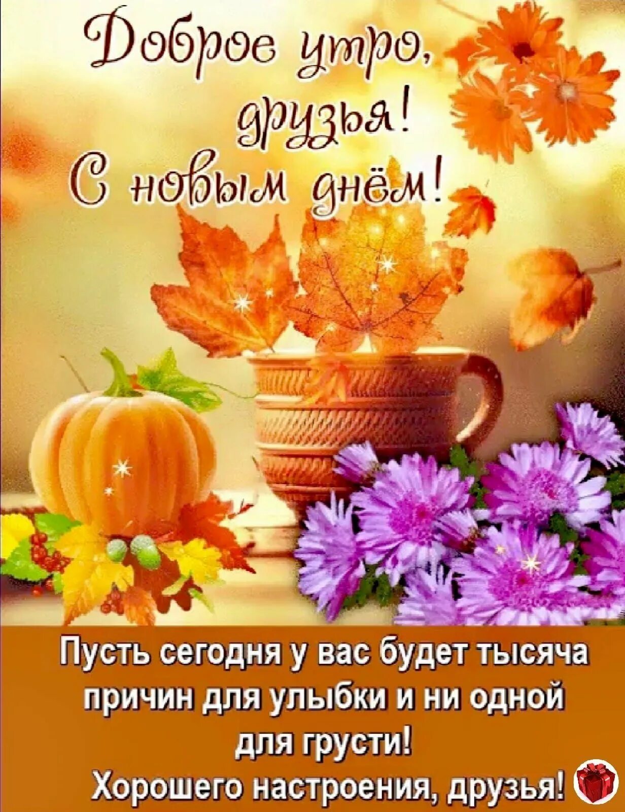 Картинки доброе утро позитивные прикольные новые осенние Прикольные пожелания доброго осеннего утра - 75 фото - смотреть онлайн