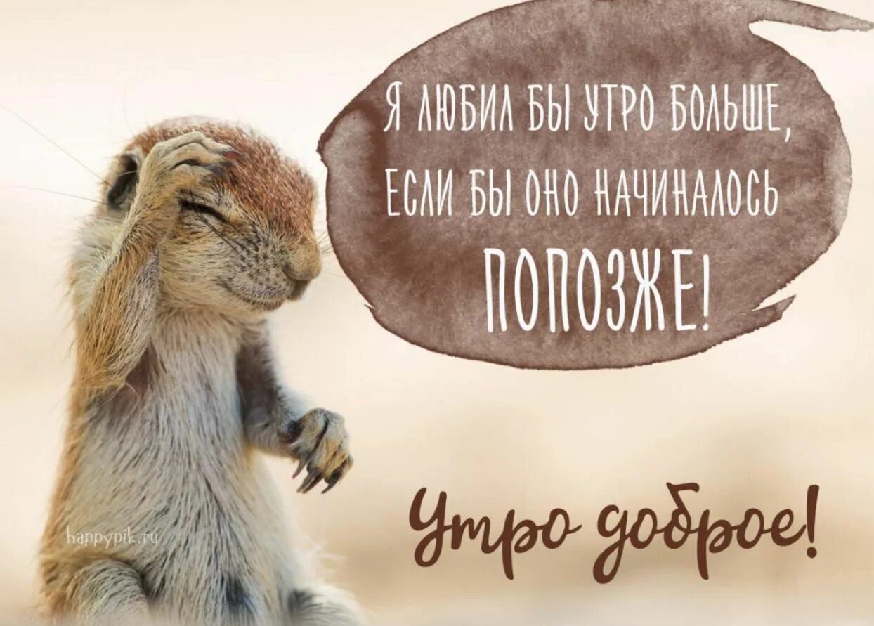 Картинки доброе утро позитивные прикольные скачать Картинки доброе утро позитивные прикольные с животными: найдено 89 изображений