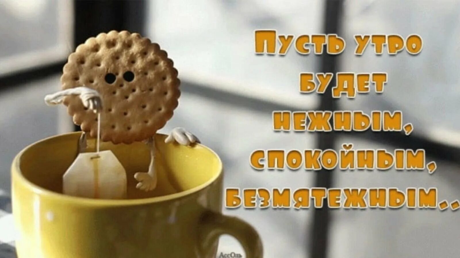 Картинки доброе утро позитивные прикольные скачать Доброе утро картинки позитивные необычные прикольные: найдено 87 изображений