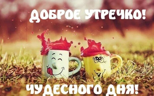 Картинки доброе утро позитивные прикольные скачать Открытки: Доброе утро , страница № 30 Картинки, Открытки, Мудрые цитаты