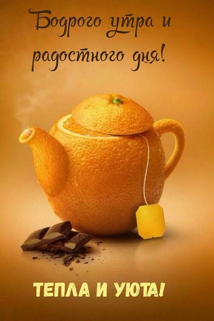 Картинки доброе утро позитивные прикольные смешные необычные Pin on Доброе утро, вечер и день Good morning cards, Good morning coffee cup, Go