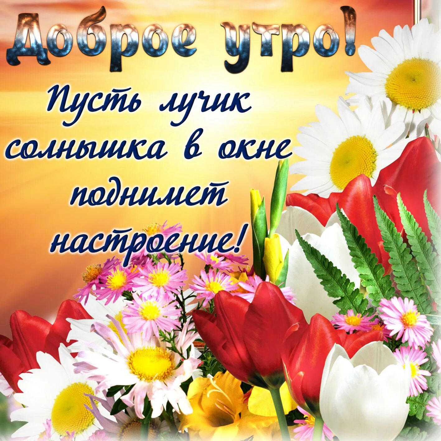 Картинки доброе утро позитивные женщине бесплатно Позитивная картинка с добрым утром