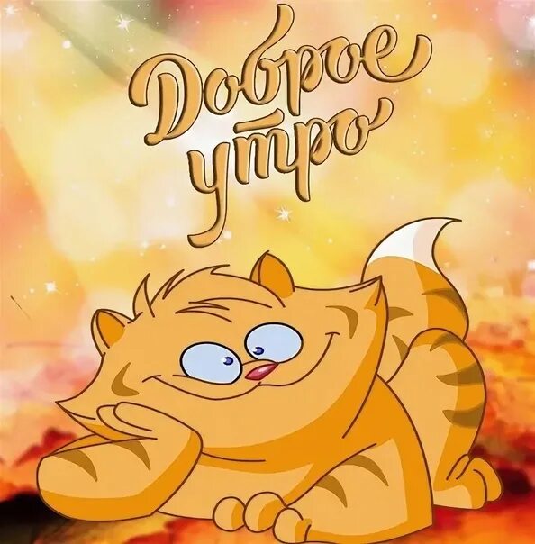 Картинки доброе утро прикольные котики октябрь Добрый рыжий котик: найдено 89 изображений
